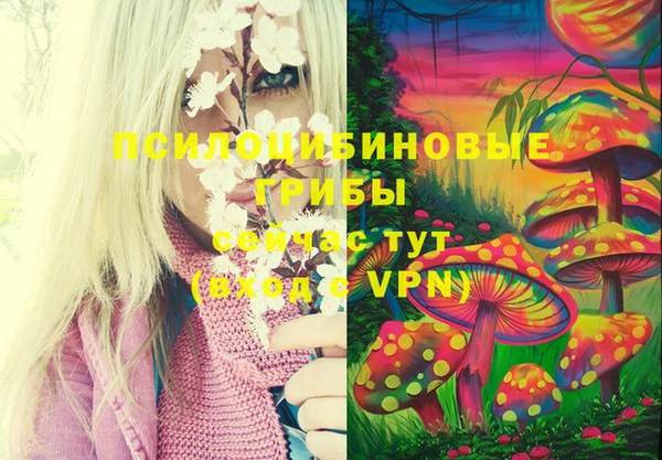 прущая мука Алексеевка