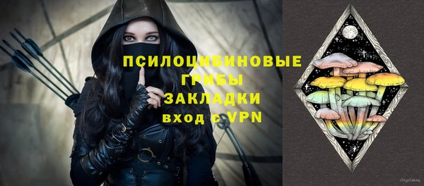 гидра Абаза