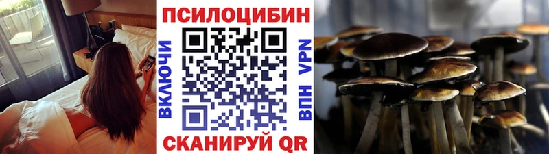 Псилоцибиновые грибы Psilocybe  Курчатов 